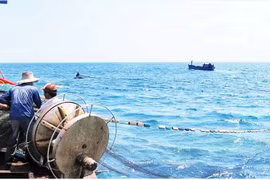  La province de Quang Ngai redouble d’efforts contre la pêche INN