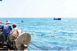  La province de Quang Ngai redouble d’efforts contre la pêche INN