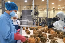 L'Autriche, un marché prometteur pour les fruits vietnamiens 