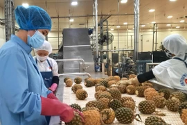 L'Autriche, un marché prometteur pour les fruits vietnamiens 