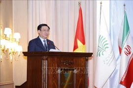 Vietnam-Iran : Efforts communs pour consolider quatre connectivités