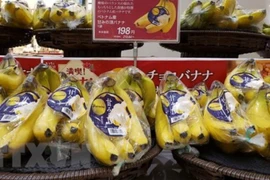 La JICA aide à affirmer la position des produits agricoles vietnamiens
