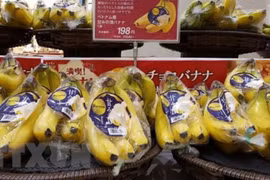 La JICA aide à affirmer la position des produits agricoles vietnamiens