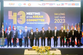 Ouverture de la 43e réunion annuelle du Comité de l'ASEAN sur la gestion des catastrophes