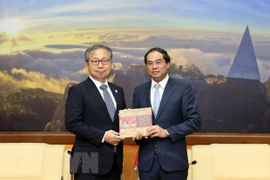 Lao Cai veut promouvoir davantage sa coopération avec les partenaires japonais