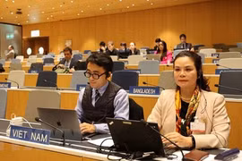 Le Vietnam participe à une session sur le droit d'auteur à Genève