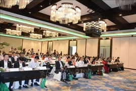 Colloque sur les relations vietnamo-japonaises à Da Nang
