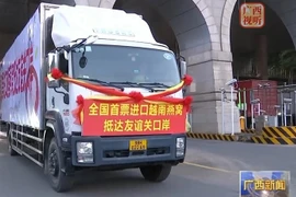 Le premier lot de nids de salanganes du Vietnam mis en vente sur le marché chinois