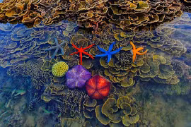 Efforts de contrôler l'environnement et développer durablement l'économie maritime