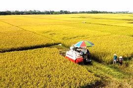 Les produits agricoles vietnamiens conquièrent le monde