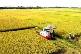 Les produits agricoles vietnamiens conquièrent le monde