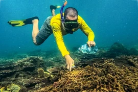 Quand les plongeurs nettoient les eaux de Dà Nang 