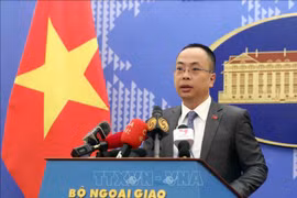 Le Vietnam encourage des actions pratiques et efficaces pour surmonter les conséquences de la guerre