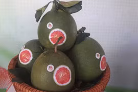 Exportations de produits agricoles: quand volonté rime avec intelligence