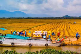 Mettre sur pied des équipes de recherche pour résoudre les défis dans le delta du Mékong 