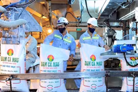 Une année qui s’annonce faste pour la filière engrais du Vietnam