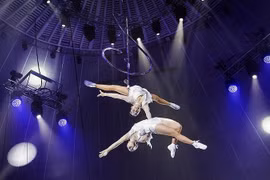 Efforts pour faire connaître le cirque vietnamien au monde