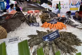 Bientôt le Festival des crevettes de Cà Mau 