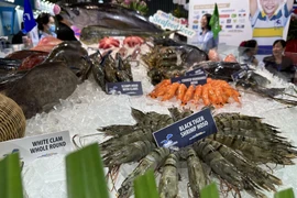 Bientôt le Festival des crevettes de Cà Mau 
