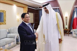 Le PM Pham Minh Chinh rencontre les dirigeants des pays du Golfe