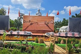 Le plus grand tableau à base de riz ST du Vietnam établi à Soc Trang