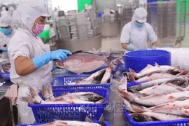 Les exportations de produits aquatiques ont atteint 1,85 milliard de dollars au premier trimestre