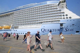 Le nombre de croisiéristes au Vietnam en forte hausse