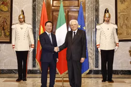 Un expert italien : 2023 est une année couronnée de succès pour la diplomatie vietnamienne