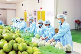 Promotion de l'exportation des produits agricoles du Vietnam vers l'Europe