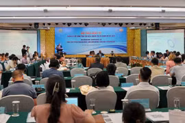 Le Vietnam partage des expériences internationales en matière de gouvernance des données