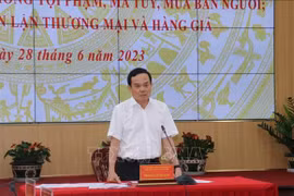 Le vice-PM dirige la lutte contre la pêche INN et la contrebande dans le delta du Mékong