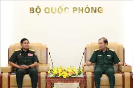 Les forces du génie du Vietnam et du Laos renforcent leur coopération