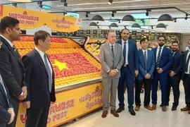 La coopération économique, point lumineux des relations Vietnam – EAU