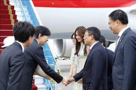 Le prince héritier et la princesse héritière du Japon entamment leur visite officielle au Vietnam