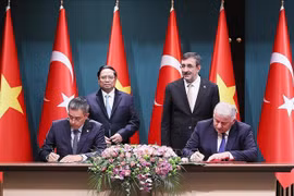  Vietnam Airlines et Turkish Airlines élargissent leur coopération en matière de transport de fret