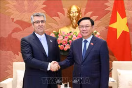 Approfondissement des relations Vietnam - Iran