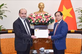 Séisme : le Vietnam prêt à participer à la reconstruction en Turquie