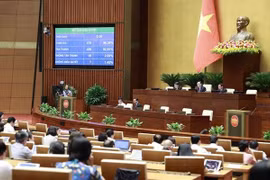 AN: les députés adopteront trois lois et une Résolution le 20 juin