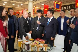 Ouverture de la Journée du Vietnam en Russie