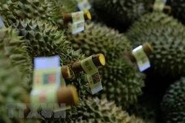 Des fruits vietnamiens présentés au festival dans la ville chinoise de Tianjin