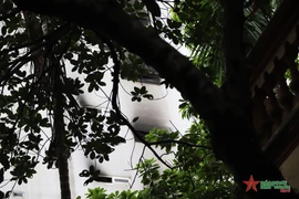 Le SG Nguyen Phu Trong envoie une lettre de sympathie suite à l'incendie survenu à Hanoï