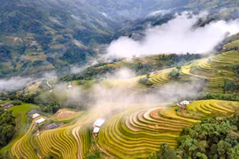 Le Vietnam à moto, une aventure sensationnelle et unique 
