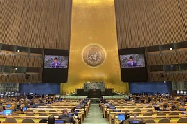 Le Vietnam contribue de manière active et responsable aux travaux de l’AIEA
