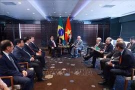 Le PM Pham Minh Chinh rencontre les présidents du Brésil et de l’Ukraine