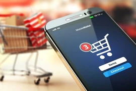 Pour accéder aux marchés du commerce en ligne de Singapour des produits vietnamiens