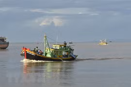 INN : la province de Binh Thuan déterminée à mettre fin à la pêche illégale 