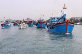 Le Vietnam met sérieusement en œuvre les recommandations de la CE dans la lutte contre la pêche INN