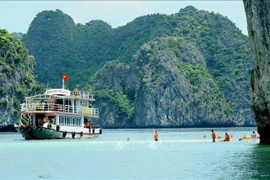 Pour faire de la baie d'Ha Long une destination verdoyante, propre et magnifique