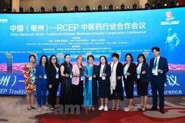 Le Vietnam à la conférence 2023 sur la médecine traditionnelle ASEAN – Chine