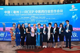 Le Vietnam à la conférence 2023 sur la médecine traditionnelle ASEAN – Chine